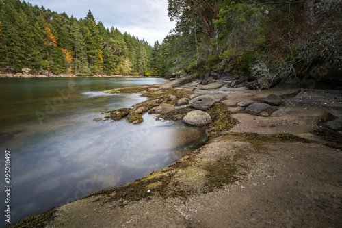 rocky coast line near the cove filled with dense green trees with hint of autumn colour under cloudy sky