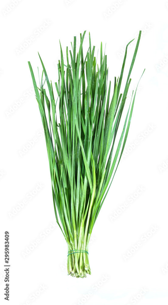 garlic chive on white. garlic chive on white.