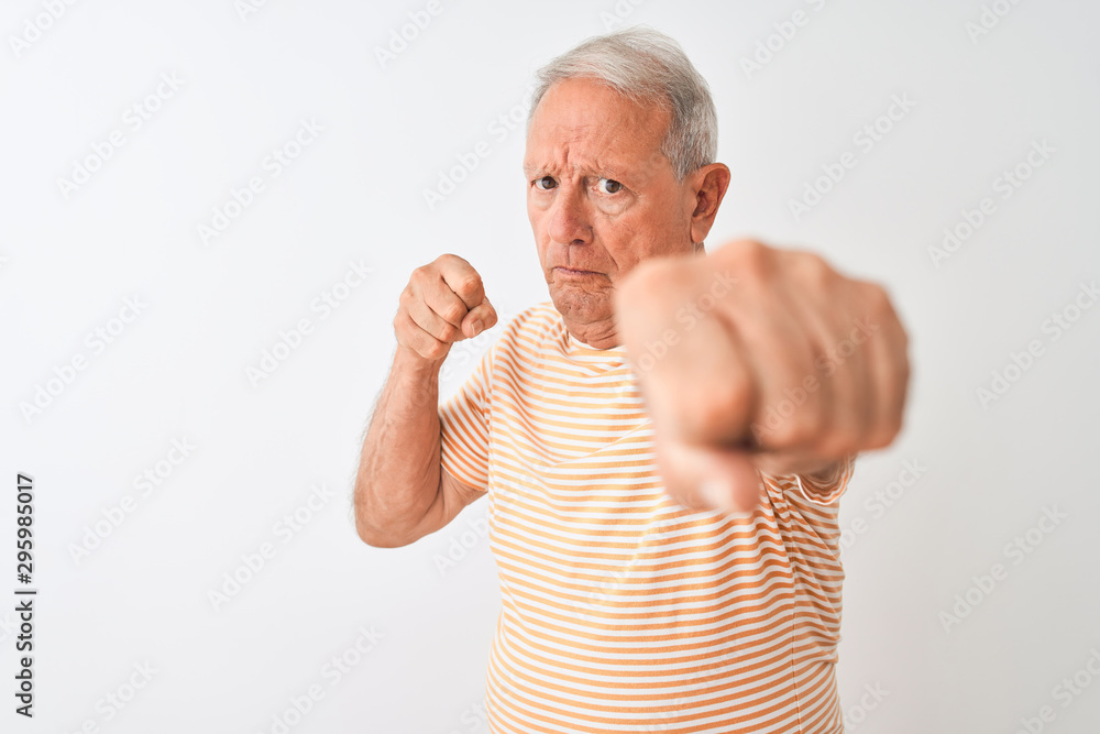 Senior grey-haired man wearing striped t-shirt standing over isolated white background Punching fist to fight, aggressive and angry attack, threat and violence Senior grey-haired man wearing striped t-shirt standing over isolated white background Punching fist to fight, aggressive and angry attack, threat and violence
