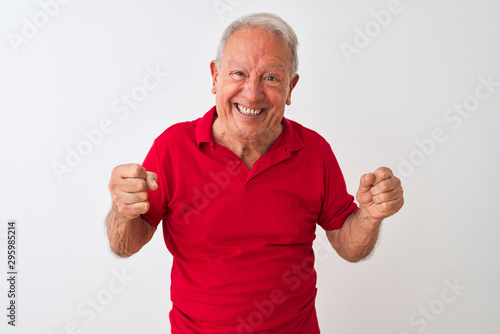 Senior grey-haired man wearing red polo standing over isolated white background very happy and excited doing winner gesture with arms raised, smiling and screaming for success. Celebration concept.