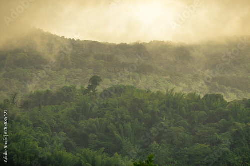 The high mountain panorama nature background, the color of the light changes according to the climate, the wind and the blurred coolness of the mist blowing through, the integrity of the forest