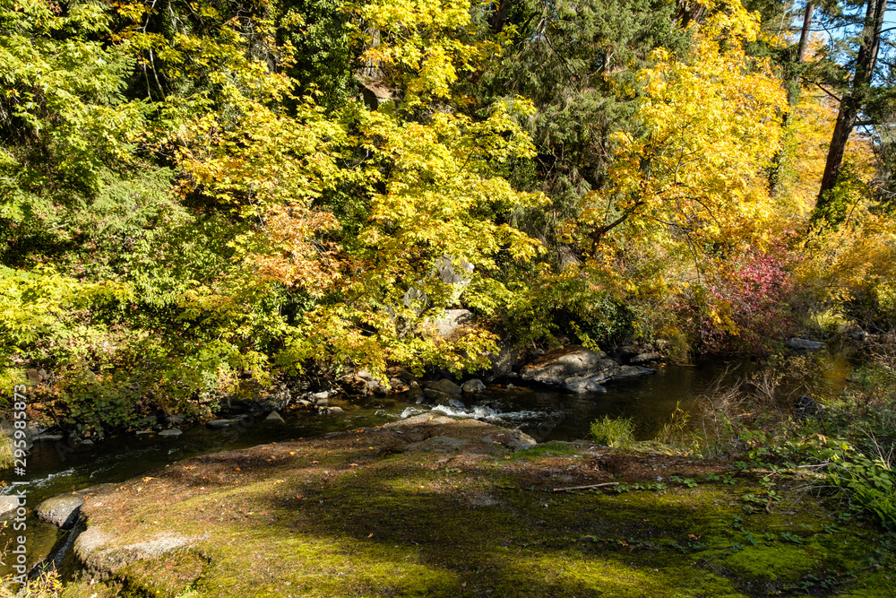 flat rocky platform by the creek filled with green mosses on a sunny day with other side of the creek filled with beautiful autumn foliage