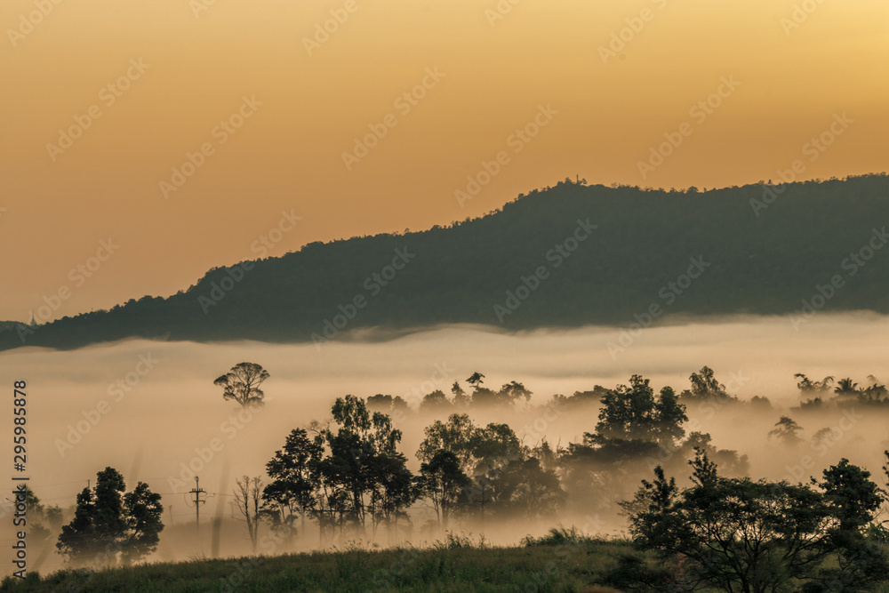 Natural blurred background of fog scattered among trees in the morning, with soft sunlight from the sun, seasonal beauty. Natural blurred background of fog scattered among trees in the morning, with soft sunlight from the sun, seasonal beauty.