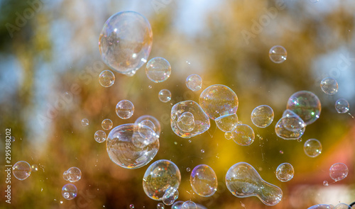 Soap bubbles on a background of trees, blurred winter background.