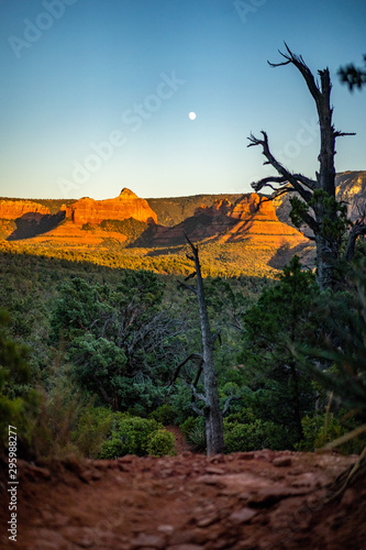 Full Moon Rise over Sedona Red Rocks with dead junipers © Katherine