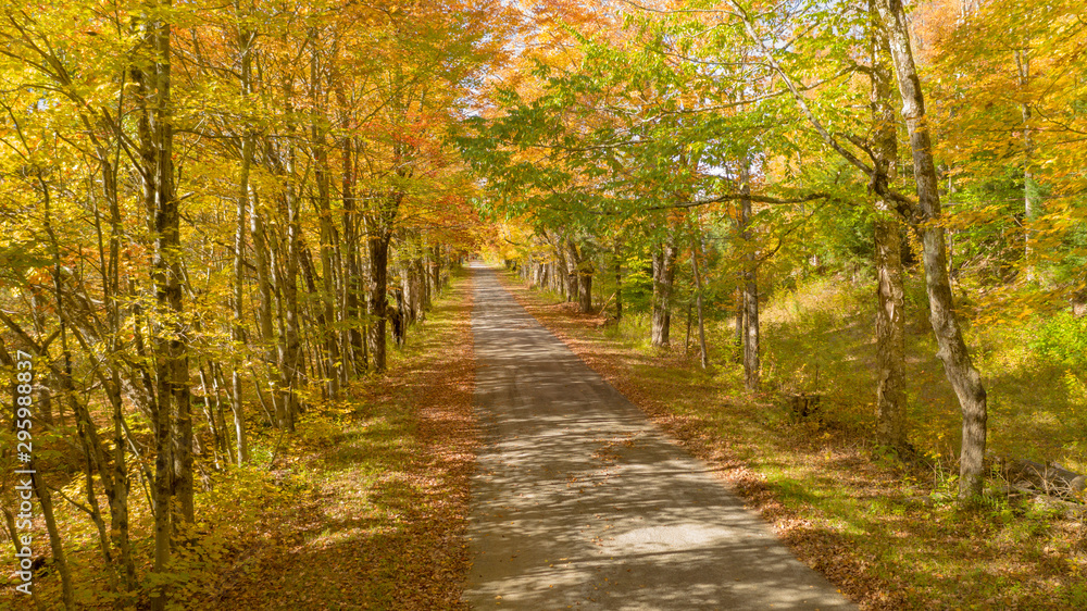 Desolate country road has leaves falling in autumn season New York Desolate country road has leaves falling in autumn season New York