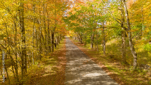 Desolate country road has leaves falling in autumn season New York