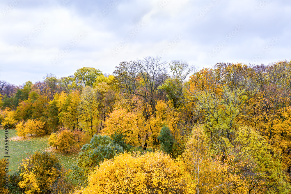 aerial view from drone over colorful autumn trees in the forest under cloudy sky aerial view from drone over colorful autumn trees in the forest under cloudy sky