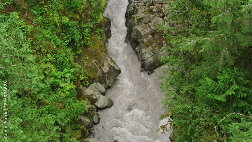 Elevated panning view bottom to top of river flowing through rainforest in Washington state Elevated panning view bottom to top of river flowing through rainforest in Washington state