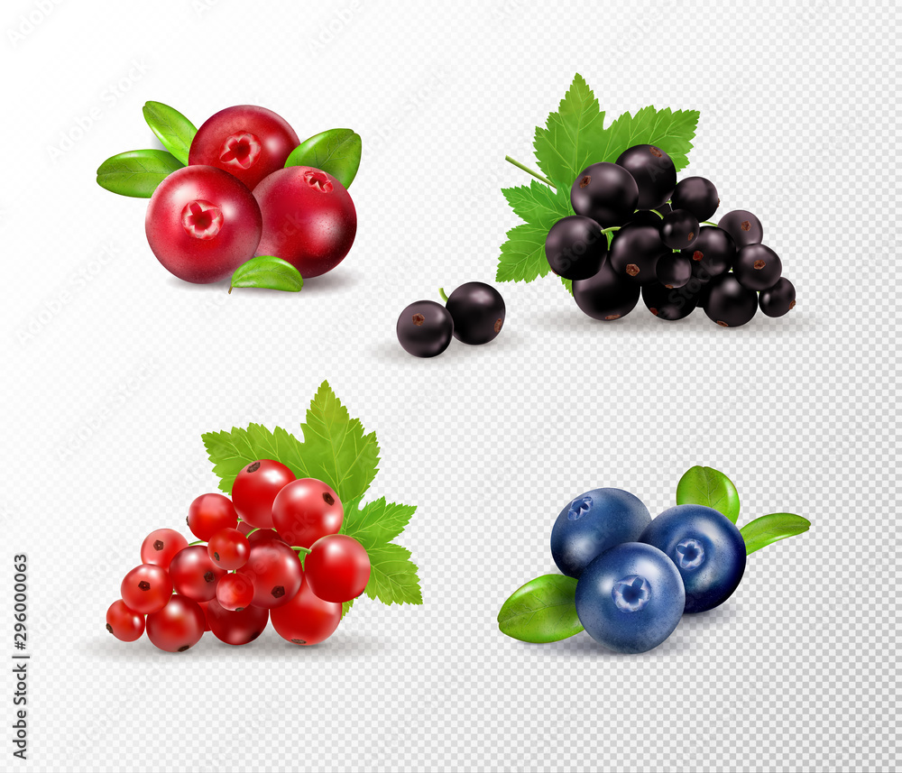 Set of vector realistic berries isolated on transparent background. Raspberry, blueberry, currant, cowberry. Forest berry. Sweet fruit. Realistic illustration. 3d vector icon set Set of vector realistic berries isolated on transparent background. Raspberry, blueberry, currant, cowberry. Forest berry. Sweet fruit. Realistic illustration. 3d vector icon set
