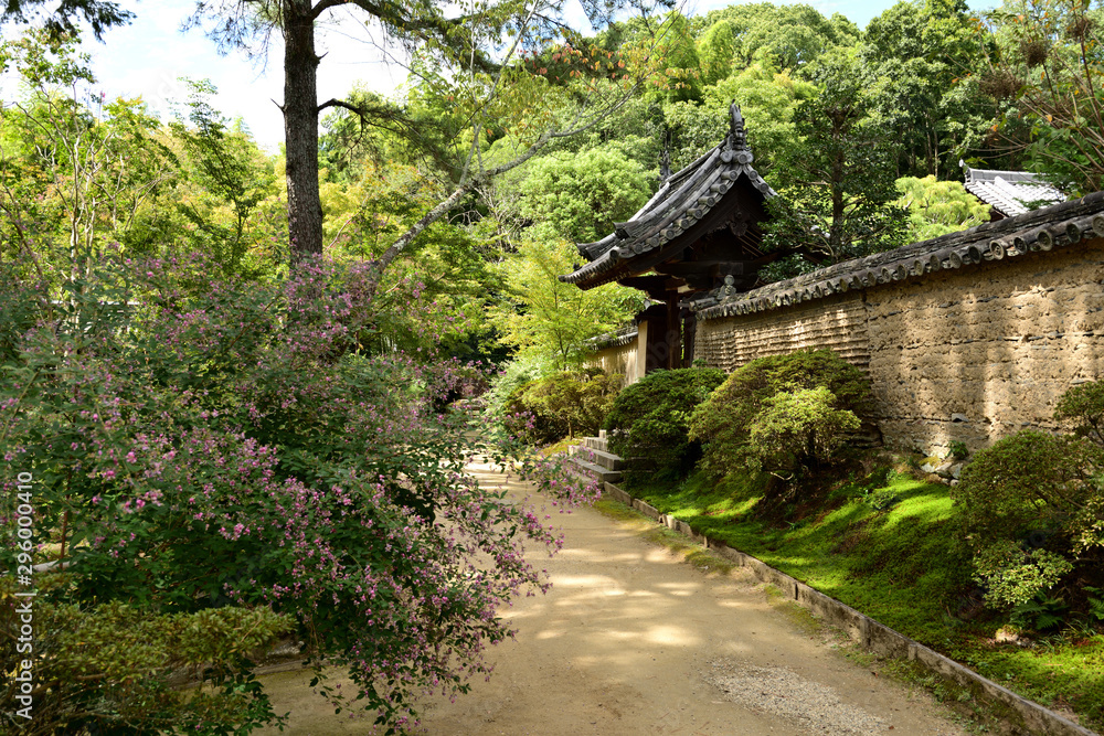 土塀と萩の花 土塀と萩の花