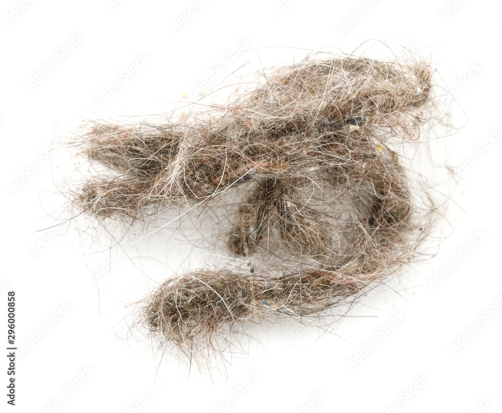 trash with hair closeup isolated on white background. garbage trash with hair closeup isolated on white background. garbage