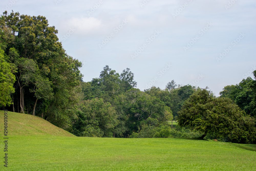 Panorama View of Golf Course with beautiful fairway field. Golf course with a rich green turf Panorama View of Golf Course with beautiful fairway field. Golf course with a rich green turf