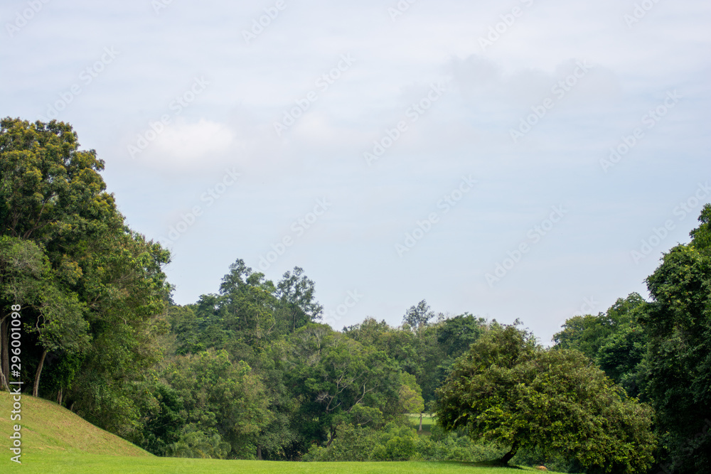 Panorama View of Golf Course with beautiful fairway field. Golf course with a rich green turf Panorama View of Golf Course with beautiful fairway field. Golf course with a rich green turf
