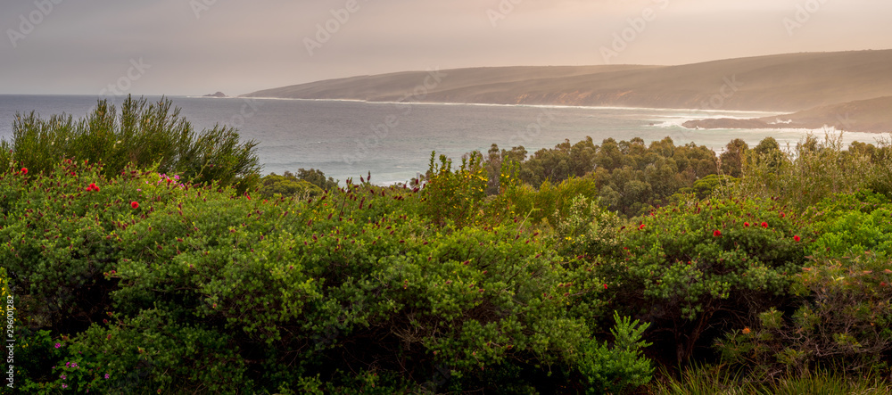 Coast Panorama Western Australia Coast Panorama Western Australia