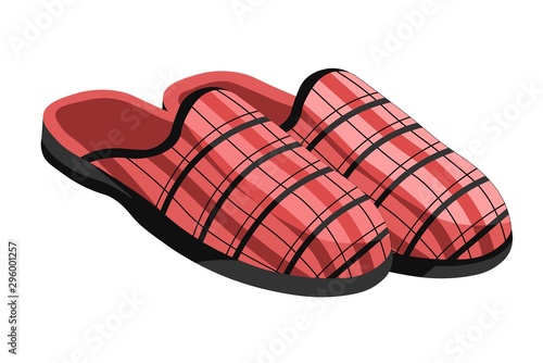 Male slippers, home footwear, isolated male pair