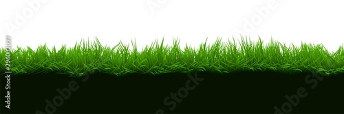 Grass on brown soil isolated on white background