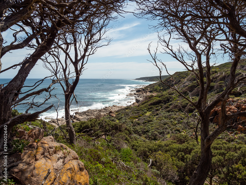Coastal View Through Trees Western Australia
