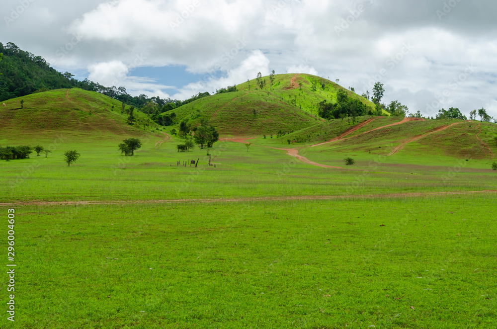 View of beautiful landscape with fresh green meadows and mountain. View of beautiful landscape with fresh green meadows and mountain.