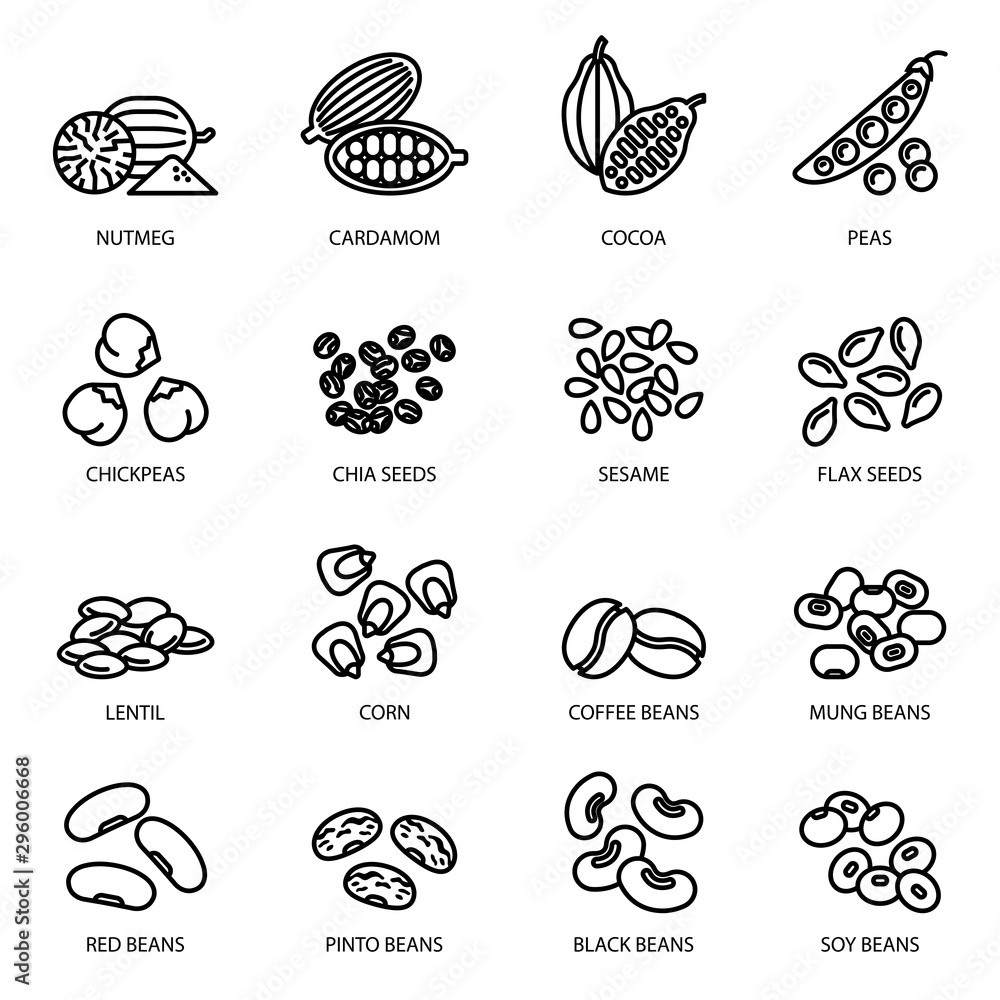 Nuts, beans and seeds line icon set with white background. food symbols collection. - obrazy, fototapety, plakaty 