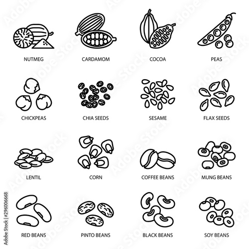 Nuts, beans and seeds line icon set with white background. food symbols collection. © nuengrutai