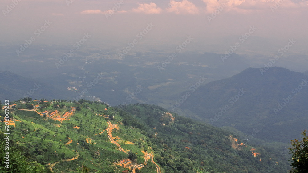 coonoor tea garden, nilgiri foot-hills and valley view at coonoor near ooty hill-station in tamilnadu, india