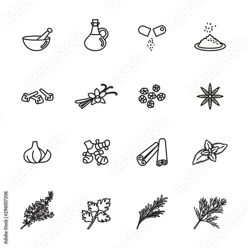 spice, condiment and herb icons set with white background. Line style stock vector.