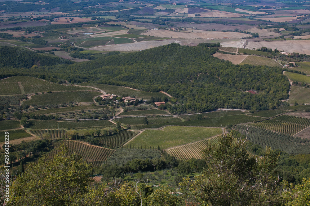Veduta panoramica della campagna toscana da Montalcino