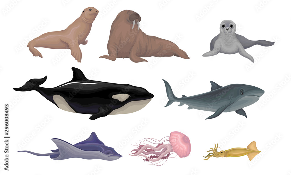 Fototapeta premium Marine Life Creatures Vector Volume Illustration Set