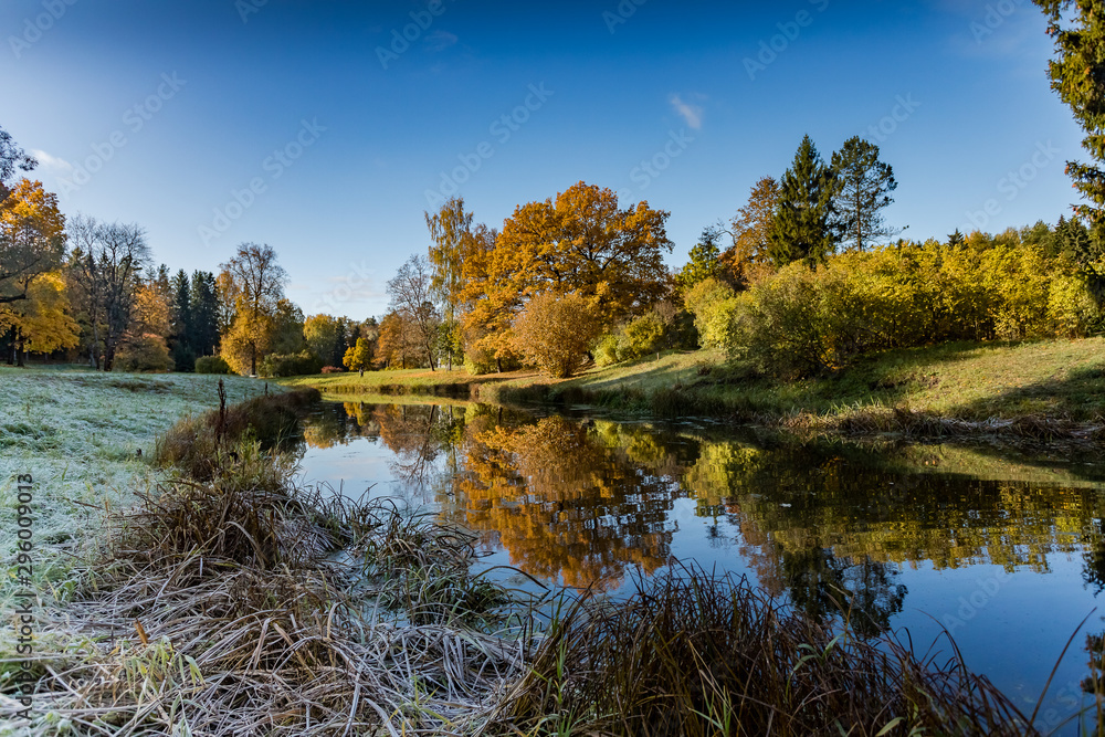 Fototapeta premium Autumn landscape and landscape in the Park of Pavlovsk, Leningrad region.