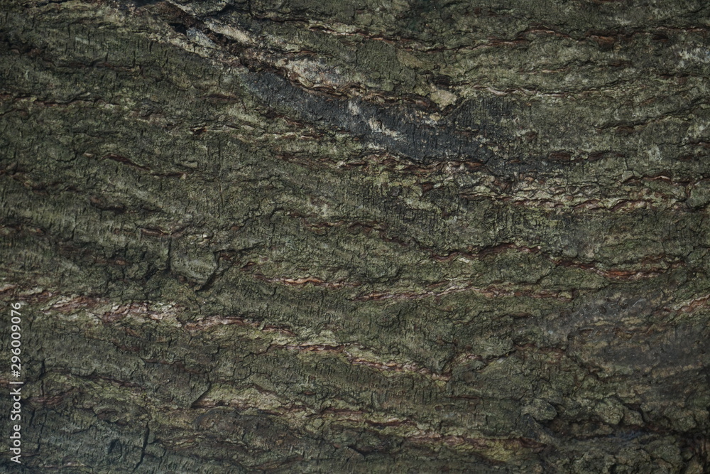 old wood background old wood background