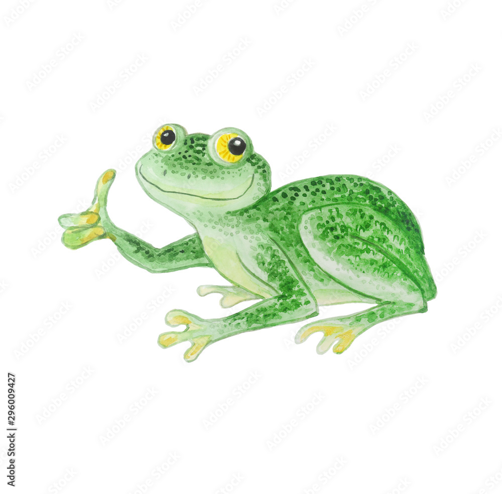 Fototapeta premium Green frog isolated on a white background.