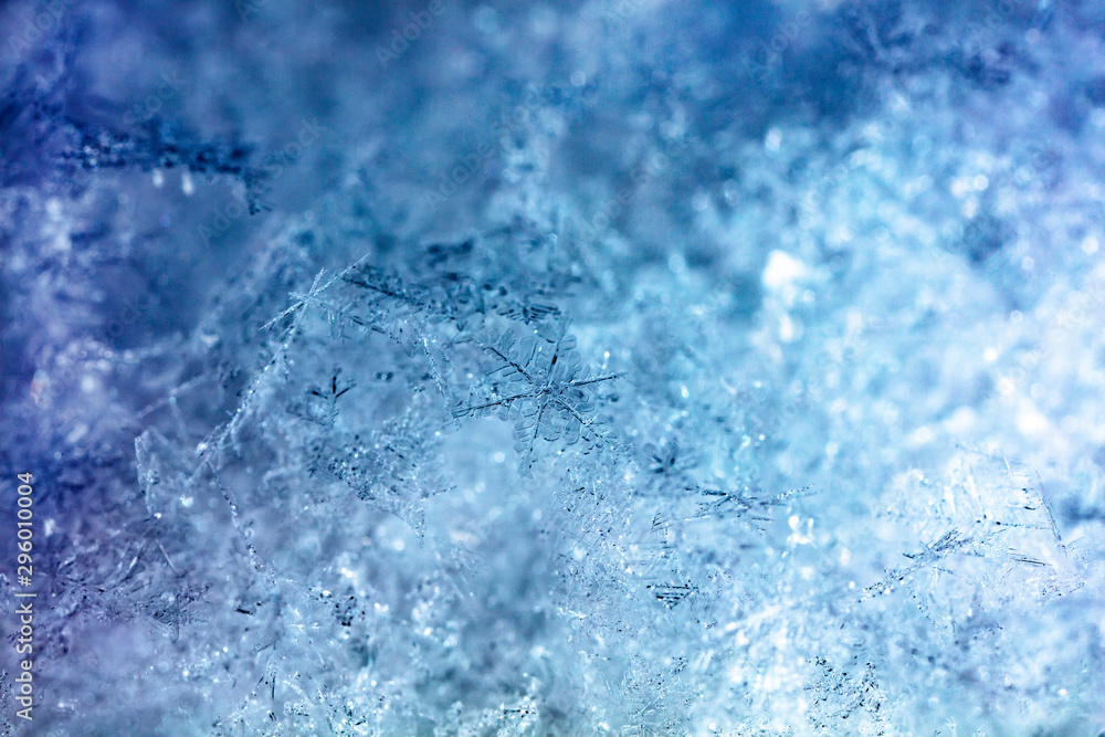 Obraz premium crystals of snow, winter photo