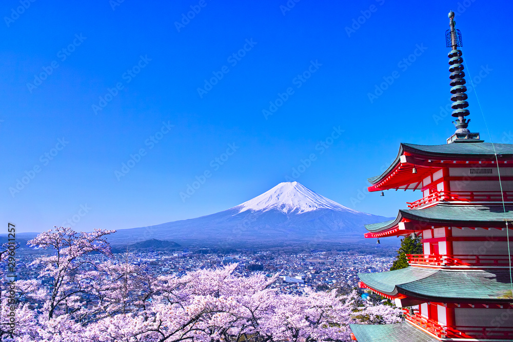 春の桜咲く新倉山浅間公園内の五重塔と富士山