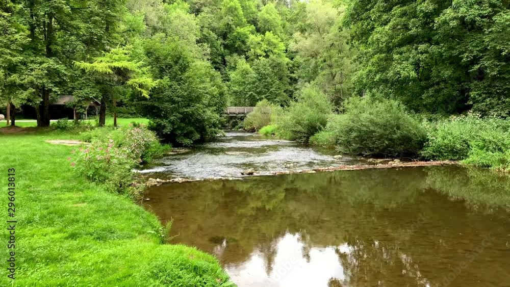 wide river overgrown with shrubs and trees wide river overgrown with shrubs and trees