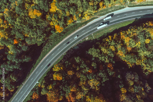 aerial view of autumn highway in forest