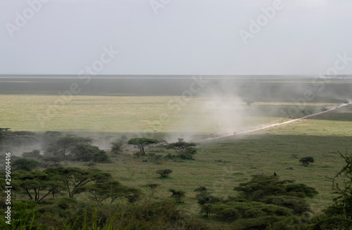 Fototapeta Naklejka Na Ścianę i Meble -  Serengeti road