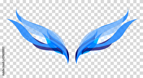 Two magic transparent wings