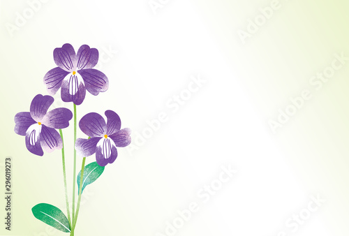スミレの花 水彩イラスト タイトル変更 Stock Illustration Adobe Stock