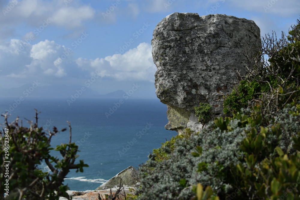 Cape of good hope - pristine nature