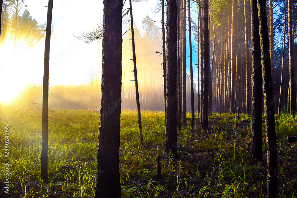 Naklejka premium Sunrise in the Tunka valley
