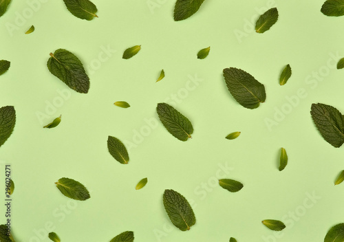 Texture or pattern with мint leaves isolated on mint background. Set of peppermint leaves. Mint Pattern. Flat lay. Top view.