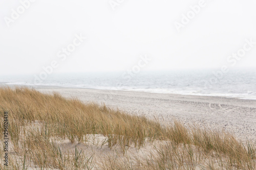 A soft pastel landscape photo of waves in fog crashing against an untouched, deserted beach