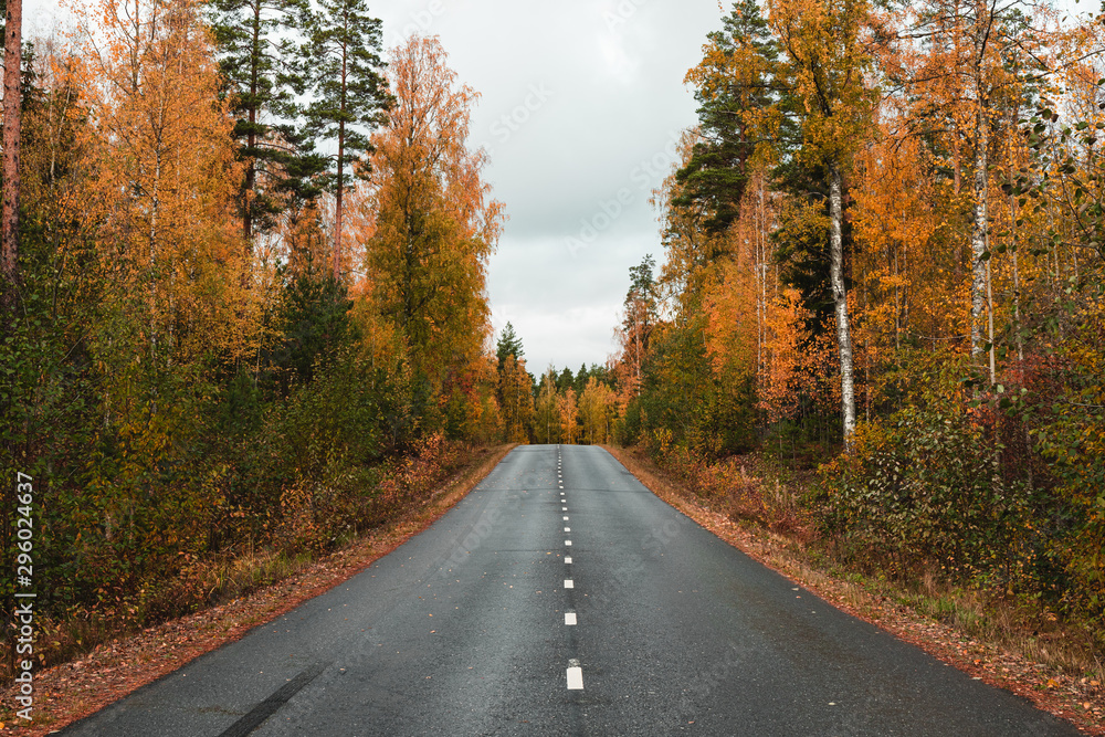 Beautiful scene of highway through Autumn forest. Beautiful scene of highway through Autumn forest.