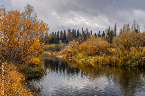 Forest with yellowed leaves on the banks of a small river and a cloudy gray sky on an autumn day in central Russia.