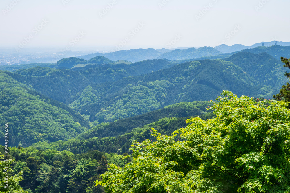 新緑の高尾山からの眺望