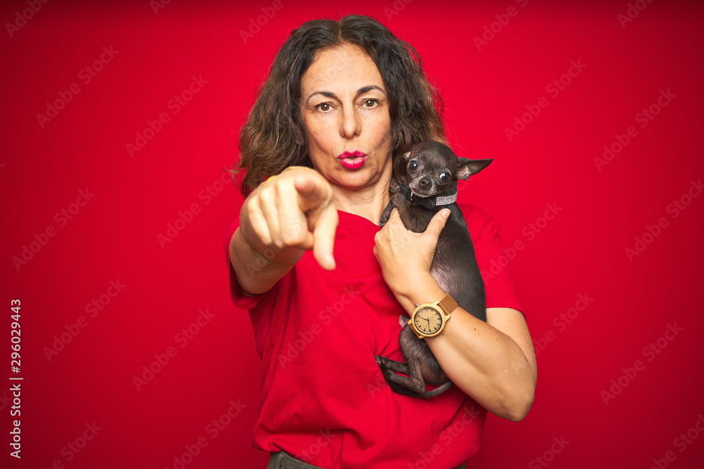 Middle age senior woman holding cute chihuahua dog over red isolated background pointing with finger to the camera and to you, hand sign, positive and confident gesture from the front Middle age senior woman holding cute chihuahua dog over red isolated background pointing with finger to the camera and to you, hand sign, positive and confident gesture from the front