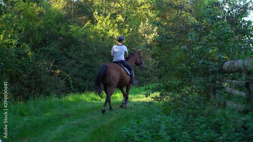 Woman riding a horse through forest at countryside, Croatia. Woman riding a horse through forest at countryside, Croatia.