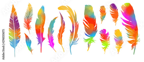 A set of rainbow of feathers. Vector illustration