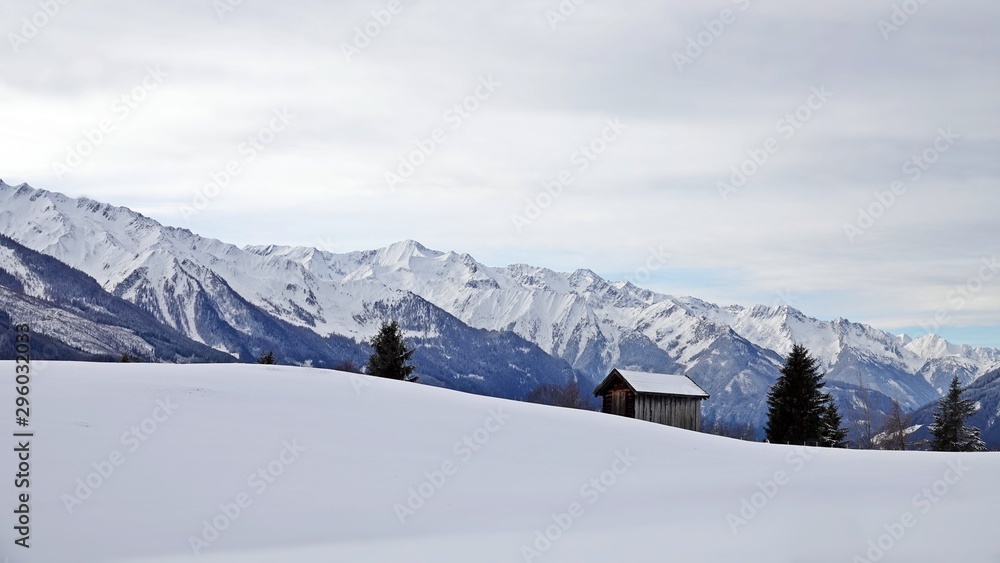 Beautiful view over a agriculture field to the alps in winter with a lot of snow